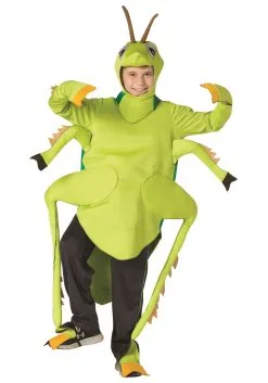 Morris Costumes Kids Grasshopper Costume