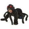 Princess Paradise Kid's Tarantula Hoodie Costume